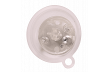 Worcester - Diaphragm (F)