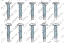 Protherm - Screw, (X10)