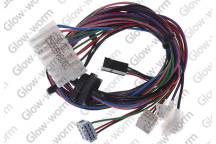 Glow-worm - Harness