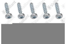 Vaillant - Screw, (X10)