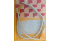 Glow-worm - Seal - Case Side