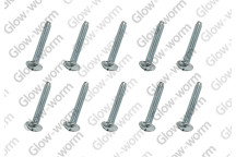 Glow-worm - Screw, (X10)