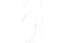 Porcelain - Calacutta Gold - 600X600