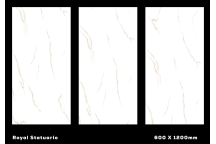 Porcelain - Royal Statuario Sg - 600X600