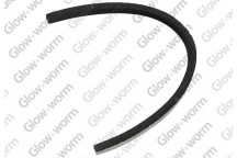 Glow-worm - Seal -  Case Top