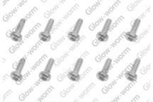 Saunier Duval - Screw, (X10)