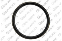 Glow-worm - O Ring