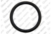 Glow-worm - O Ring