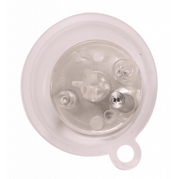 Worcester - Diaphragm (F)