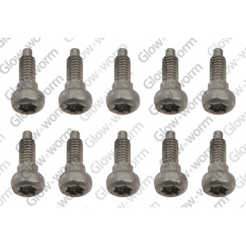 Saunier Duval - Screw, (X10)