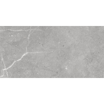 Porcelain - Blaze Grey - 300X600