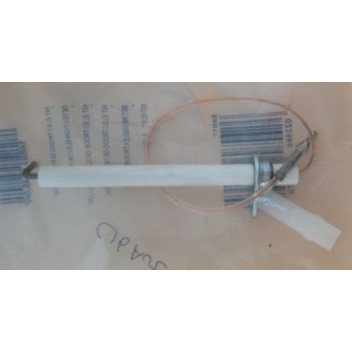 Biasi - Detection Electrode