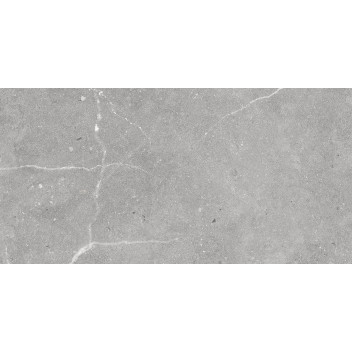 Porcelain - Blaze Grey - 300X600