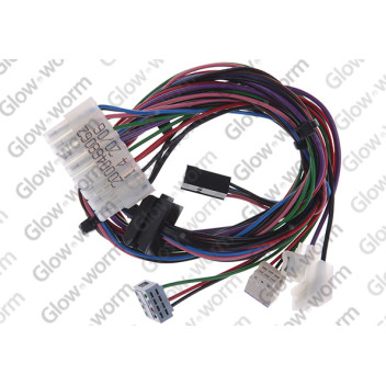Glow-worm - Harness