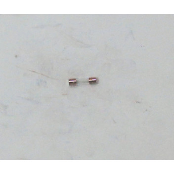 Intergas - Fuse F1, 3.15 A-T
