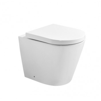 Toilet - California - BTW Pan & Seat