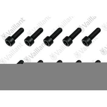 Vaillant - Screw, Pump, (X10)