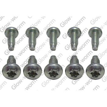 Saunier Duval - Screw, (X10)