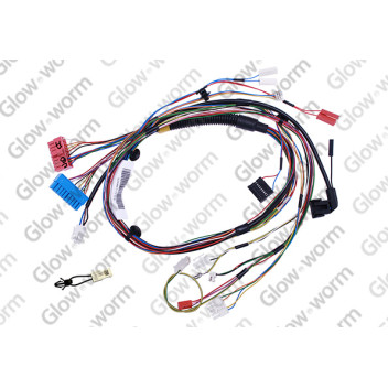 Saunier Duval - Wiring Harness