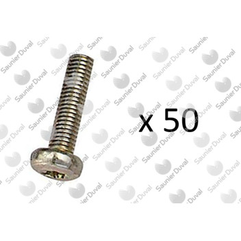 Saunier Duval - Screw, (X50)