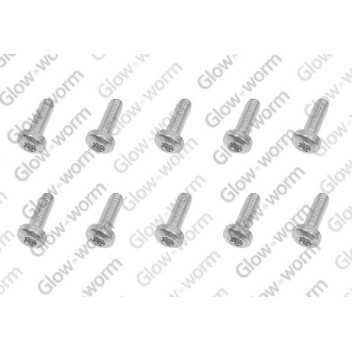 Saunier Duval - Screw, (X10)