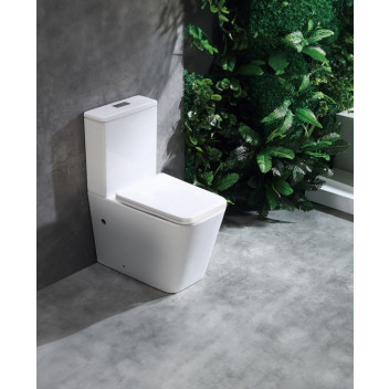 Toilet - Ice - Closed Back