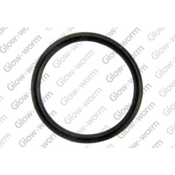 Glow-worm - O Ring