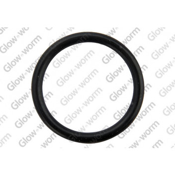 Glow-worm - O Ring